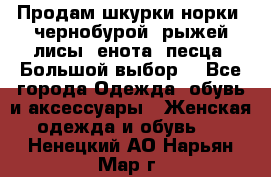 Продам шкурки норки, чернобурой, рыжей лисы, енота, песца. Большой выбор. - Все города Одежда, обувь и аксессуары » Женская одежда и обувь   . Ненецкий АО,Нарьян-Мар г.